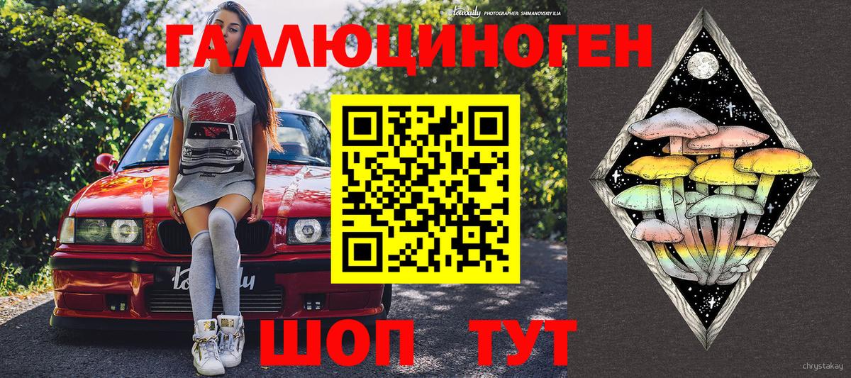 Псилоцибиновые грибы Psilocybine cubensis Ликино-Дулёво